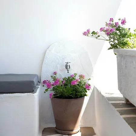 Golden Paros Apartment