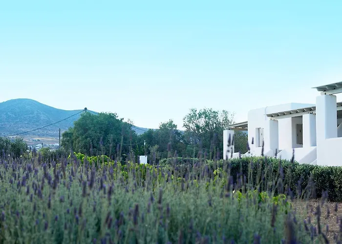 Golden Paros Appartamento