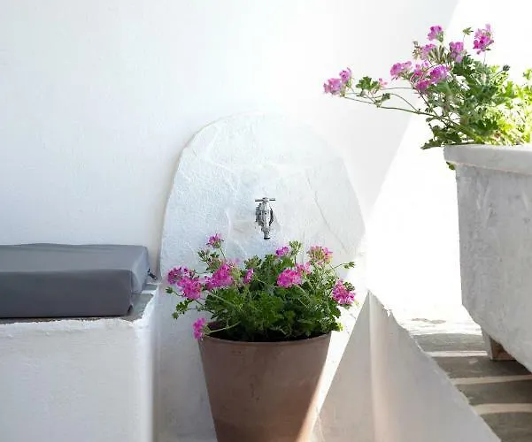 Golden Paros Appartamento