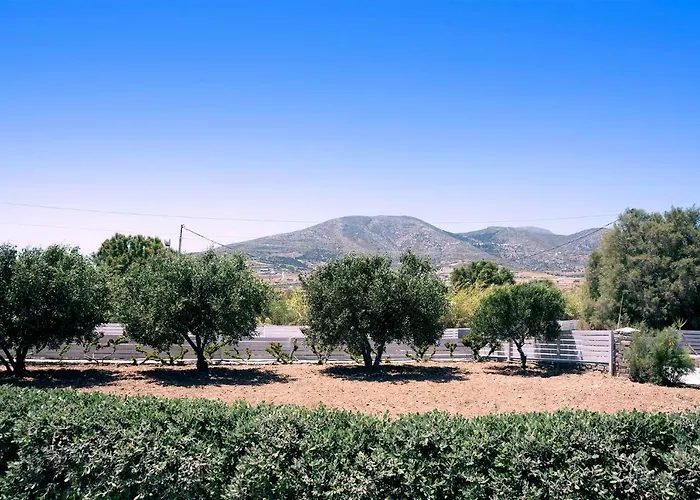 Appartamento Golden Paros *