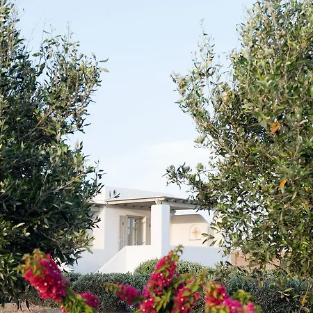 Golden Paros