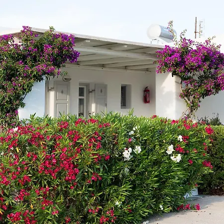 Golden Paros 公寓 克里希阿克提