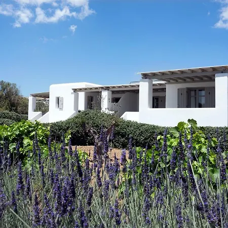 Golden Paros 公寓 *