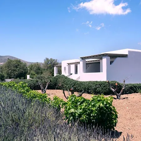 Golden Paros 克里希阿克提