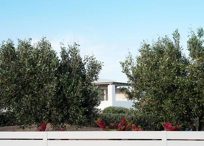 Golden Paros Apartment