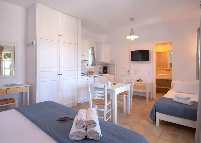 Golden Paros Apartment