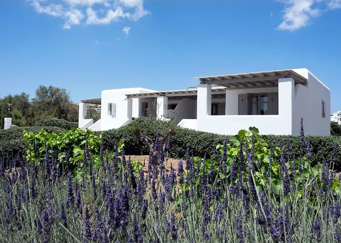 Golden Paros Apartment *